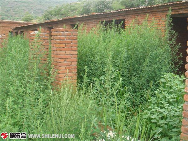 ��һ��Сƽ�����Ƕ����ǵ�ס���������Ѿ��������ˡ�