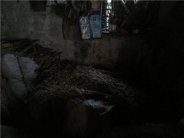 �½������