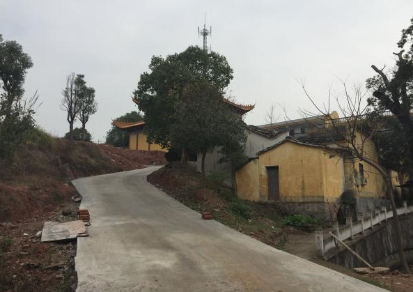 ͨ���ŷ����µ�С·��