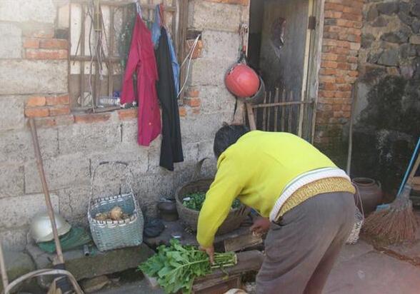 Ӧ�绨�ɷ���������ͻ��������סԺ���ƣ����￿�����ֵ���ά������