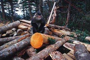 ����־ũ���㣩 ����ʡ���������˿�Ｏ������������Ͼ�ɽ���ҹ�԰������ѩɽ��Ȼ����������Ƭ����ά��Ƭ������ƺ������Ȼ�����������������Ȼ��������ÿ����������8̨���������