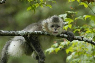 �����³����㣩