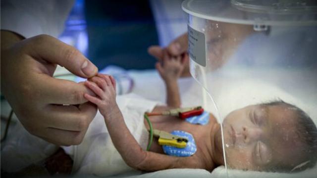 ��巣�7���¾���������˵�簲�ı�����������������ʱ����1.1ǧ�ˣ����˶������������ƺ�һ�����𶯾ͻᾪ�ŵ���������ı�������Ϊ�������ȫ����礣�������������һ������֫���������������¡��β���Ⱦ��ȱ��ȱѪ���Բ���ƶѪ��Ӫ����������Щ�������������ܶ�û����ĸ��һ����