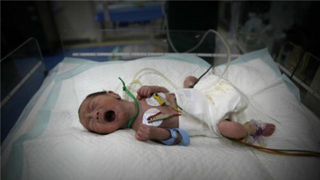 û��ʲô�����Ǳȶ���������һ���������ǿ��ģ����Ǻ��������������Լ��޷��ƿ������������������ȴ��ţ����ǣ�������һֻһֻ����һ��������������ǰ�������������һ��һ��򿪵��ţ���ҫ�۵����⽫�������������ϣ�ů���ĵ�����������������������������Ц����������˵�ţ�&ldquo;�������簲��&rdquo;