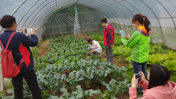 ��λ�ȡ����Ʊ��   ��Ȱ�������Ὣ��Ϊ����100Ԫ�����ϵ����ѿ��߾���Ʊ�ݣ��뷢�;�����ͼ������������Ŀ�����ͽ��׵��ţ�����Ʊ̧ͷ���ռ���ַ���ʱ���Ϣ�����䣺infosh@lianquan.org.cn��������������ѯ��021-60146234