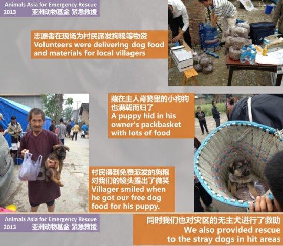 ���������Ԯ��Ŀ�����޶�������������ȫ����Χ�Ķ��������Ԯ�ƻ���Ϊ�����Ԯ�߻����Ԯ�Ŷ��ṩ�����Ԯ����Э������ʱ��Ԯ���õ�Ľ�����������Ч��߽����¼��ж�������渣��������Ӧ���ٶ��˵�Ӱ�죬ͬʱЭ������������ʱ�ڵ�Ӧ�����������ⱬ����������Ͱ������˶��