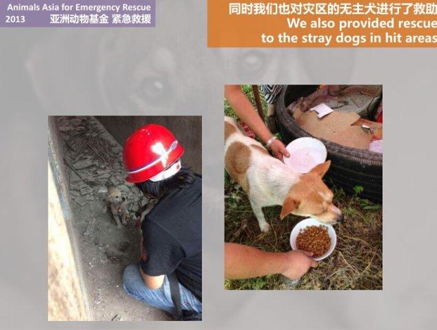 2013���Ű��������޶������Ϊ�����ṩȮ�������硢����ҩƷ����������������Ʒ������ˮ��10000֧��܅�1000������������«ɽ��ũҵ�ֿ�չ������ߡ��ܼ�ֵ����13��Ԫ����ҡ�