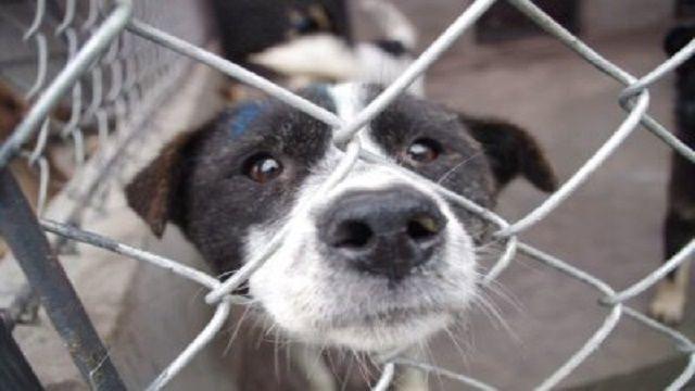 �����ƿ�ᱻ���ڹ������Ԯ�������ʱ��Ԯ���õ������Щ���������ѻ���ͻ�����¼��д��������