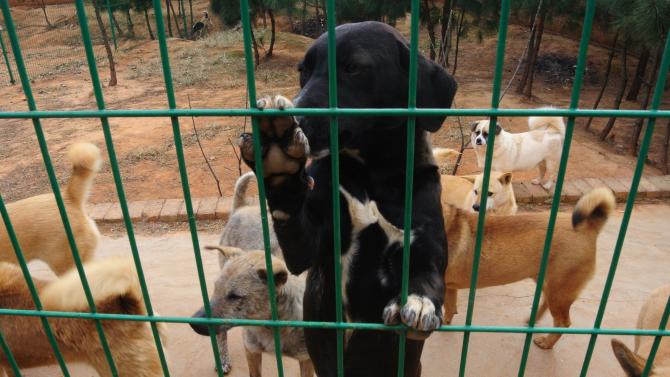 ���Ȯֻ���������Ƽƻ��������޶���������������Ȯֻ�������������滷����һ�����Ŀ�������ڸ���������������������������︣����ͨ������Ȯֻ���硢����ҩ���������ȡ�Ȯֻ��Ʒ�Ȼ�������޽��������������ҵ��������������������״����ʵ��Ч�ذ��������������ǵĶ��︣��ˮƽ��