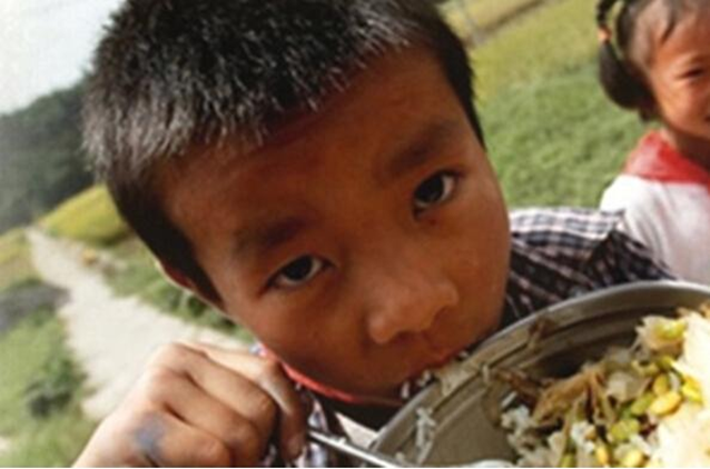 �ҹ�ũ�������ͯ��ʳ�ṹ��һ��Ӫ�������������أ���������Ȼ�������±����������ǵ�Ӫ�����ѷ������ǵ������Ҫ���������׷���ƶ���������ˡ�