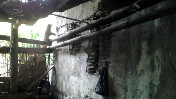 ��ͥ����