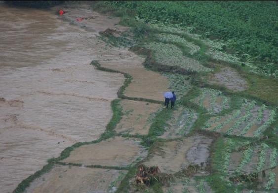 水灾造成大量农田损毁(广西乐业)
