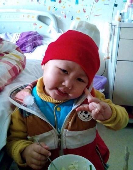 小飞豪在乖乖的吃饭