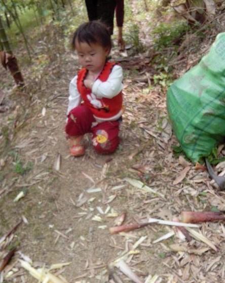 小宝怡八个月的时候妈妈就因病去世,爸爸去外面打工养家,小宝怡在家没人照顾,就和奶奶一起去山上挖竹笋