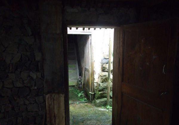 曹海根家门口布满青苔,下雨天十分划脚