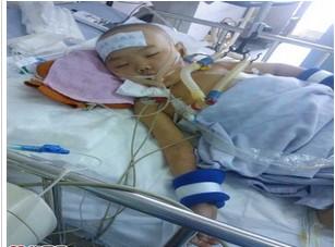 可怜的孩子啊,罪怎么都让你受了!