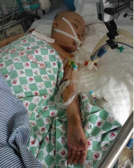 经的小天使,而如今却躺在病床里。