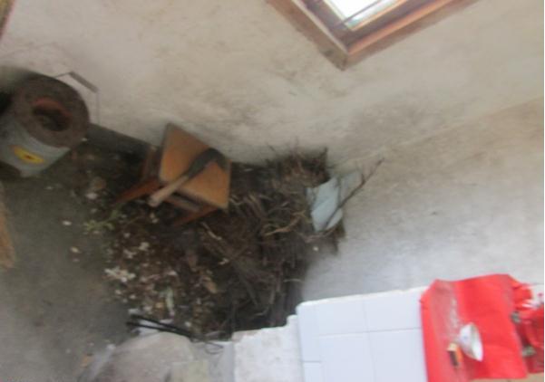 这就是王金香家里平时烧饭用的柴火