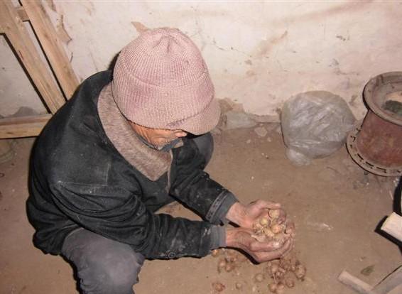 冯青松老人种不成地,这些土豆都是好心的邻居送来的。