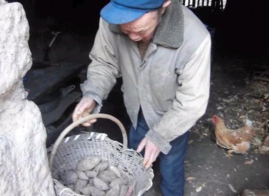 红薯是老人经常吃的食物。