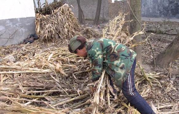 老人端着碗坐在那,是心酸无奈,就这样活着。