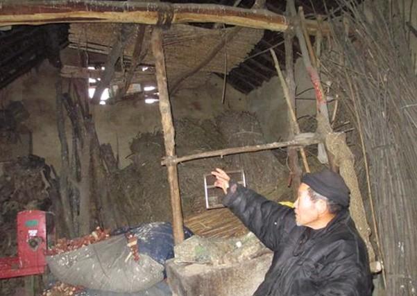 李宗锋老人收拾一些玉米芯准备烤火使用。