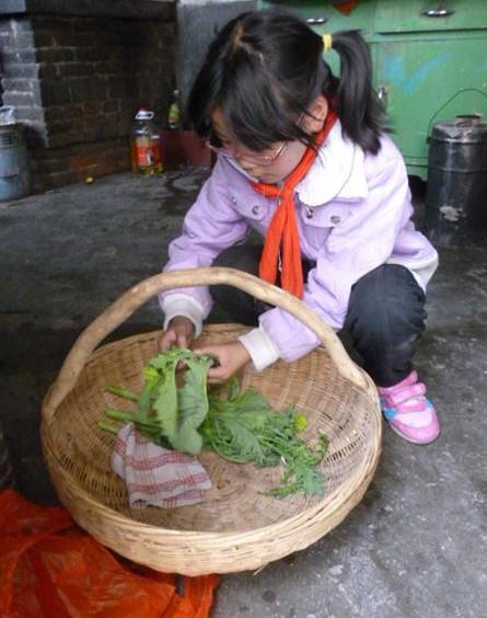 这是母亲从麦地里拔草寻找的野菜,余楠帮母亲把叶子摘下来好做饭用。
