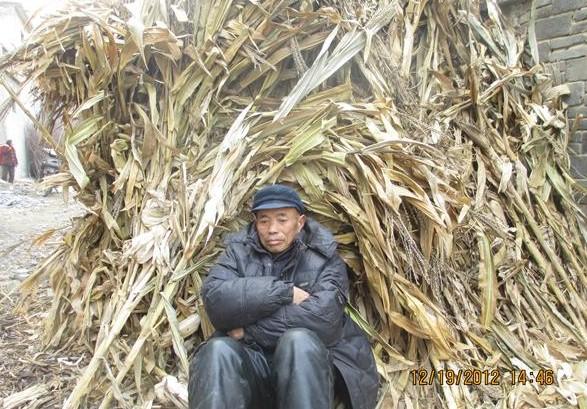 范太祥老人身子弱,天气很冷,常常坐在草堆边晒太阳。