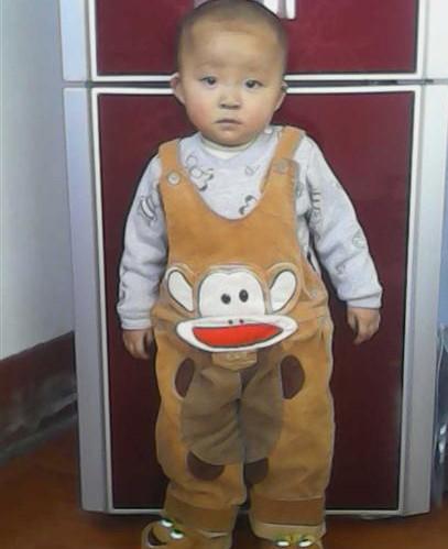 这么小眼神就这么忧郁,大家帮帮他吧。