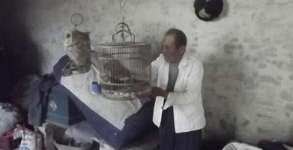 张石成老人喂养的小鸟是他闲时的“娱乐”