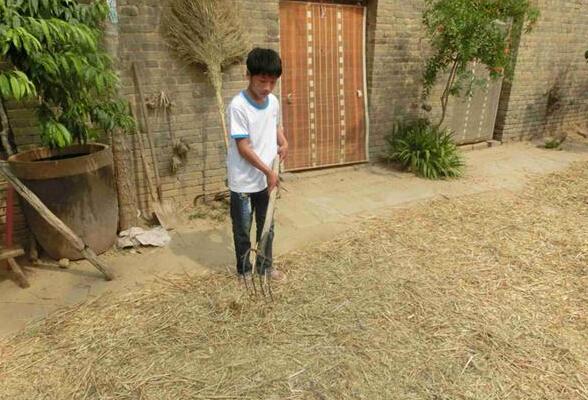 孙彦超是个勤劳的孩子,放学回家在帮家里做家务活