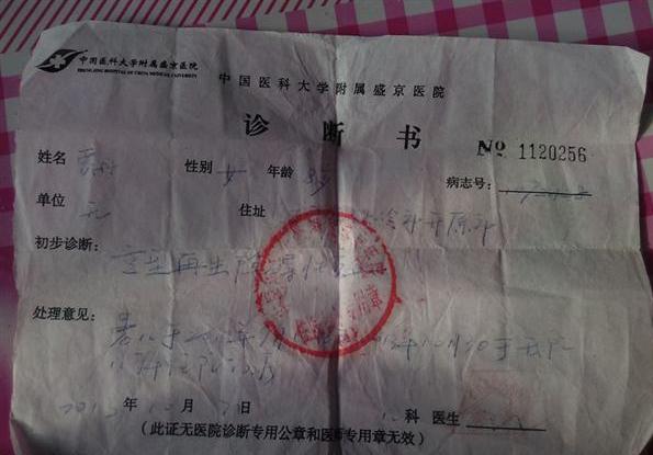 贾丹的诊断书。