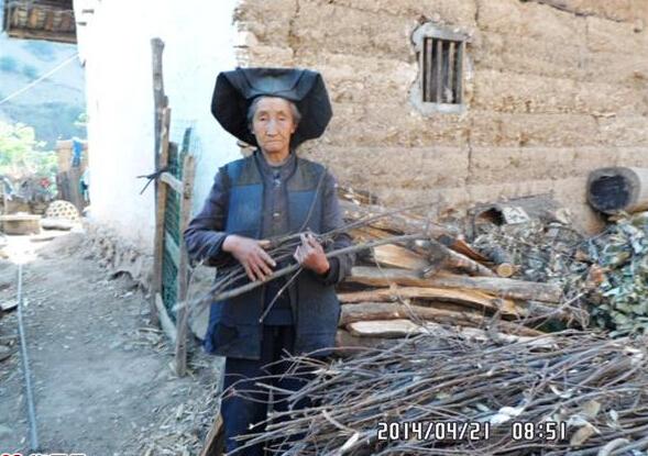 罗洪伍甲老人在整理日常自生活做饭取暖的柴火
