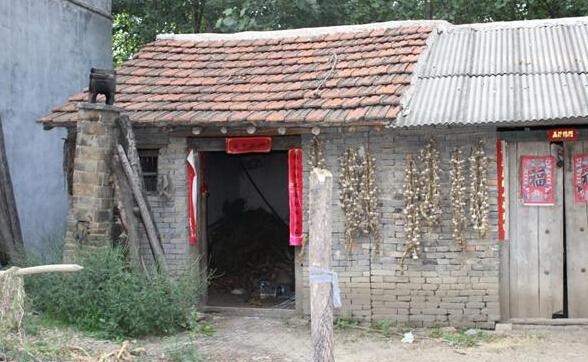 郭同云老人居住的房屋,低矮简陋,和边上的高楼成了鲜明的对比