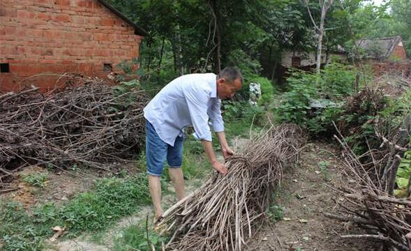 李宗法的妻子离家出走,留下李宗法和一个四岁的儿子,父子俩靠邻居和政府的帮助维持生活