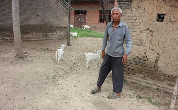 李向德老人现年70岁,家住河南南阳市邓州市裴营乡青冢村,年老患病,失去劳动能力