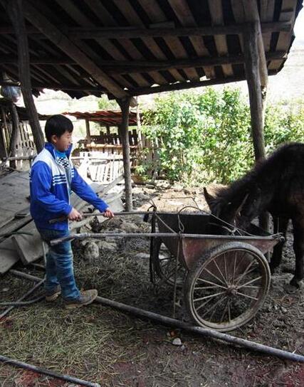 王玉方父母离异后父亲出走,他随着母亲一起艰难生活着
