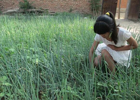 为了节约点开支,庭院里咱了些菜,自己吃也可以拿去卖,王子君在拨草