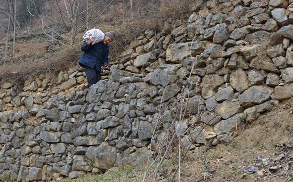 可怜的老人为了换点油盐钱,背着土豆从家里步行险而陡的狭窄山路,这么大年纪了,没有人陪伴