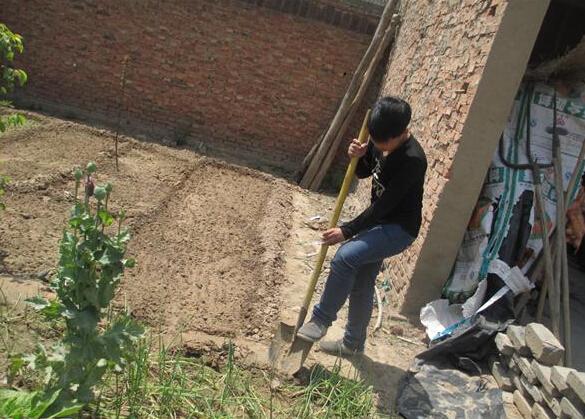 李宁很乖,经常帮着家里做家务