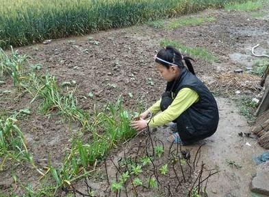 陈荃很乖,经常帮着家里干活