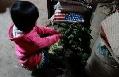 刘如意家中贫困,家中阴暗潮湿