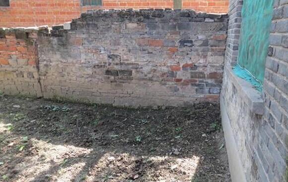 王正法老人种的蔬菜发芽了