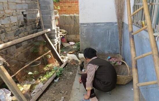 赵书焕老人在喂鸭子