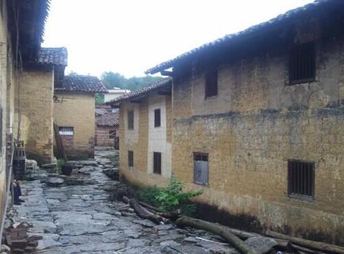 这是黄月丽家房子的后面