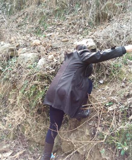 这是平时村民就近的便道,从岸上下去,再从这里爬上去才能到对面的住家户和地里去种地.上下非常困难,年轻人都很吃力,稍不注意,摔跤率很大。