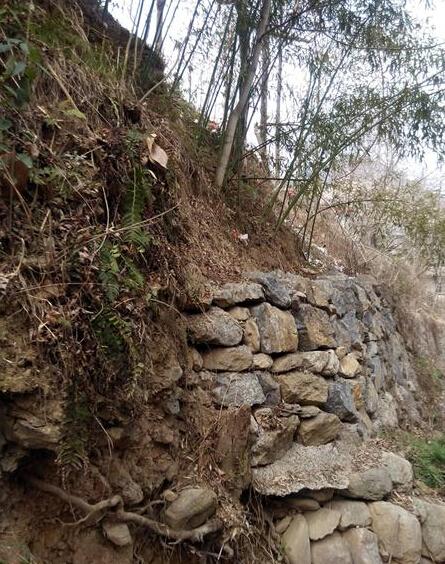 这里世去的那位88岁老人生前自已动手在河里累积的石头,用自己的钱请人磊的,老人原本希望在自己手上将这座桥架建起来,可不幸老人突然摔跤去世,这个工程也就摆在这里了。