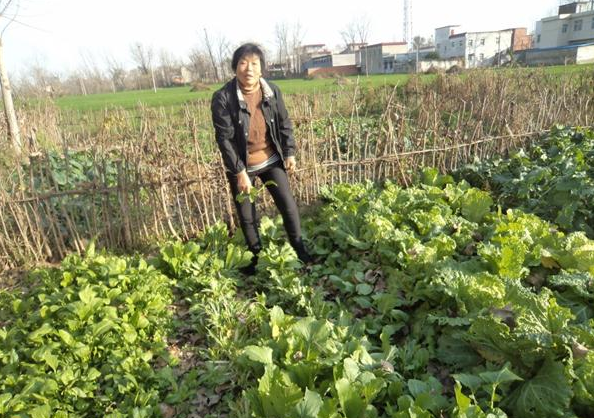 张云梅自己家种点菜可以省点生活费用。