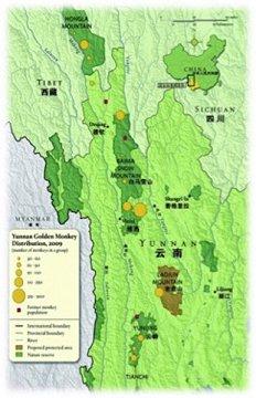 (大自然保护协会供图) 捐赠反馈: 捐赠100元,可以每个月都收到红外相机拍的野生动物影像电子版哦!请捐赠人发送捐赠截图至“泡芙小组”微信账号(请加微信号:puffteam),我们的工作人员会定期为您反馈红外相机电子影像。
