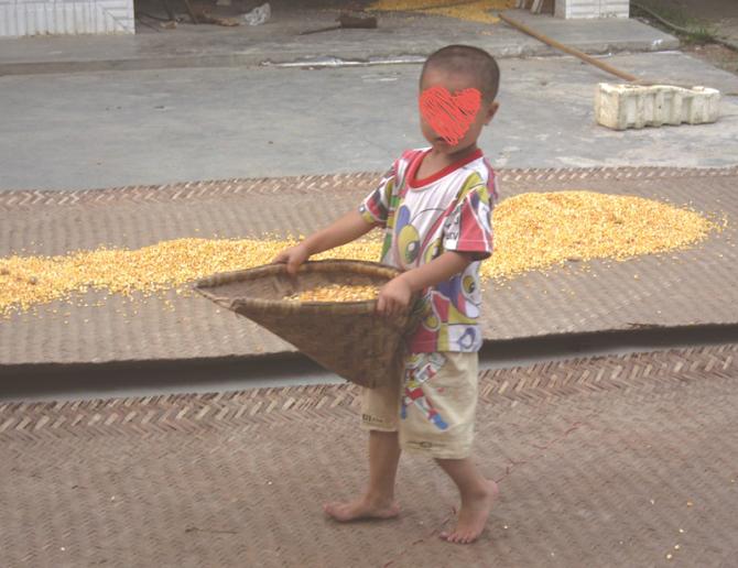 虽然他还没有一米高,但已经早早地帮家人干起农活了。一方小院便是他假期的全部。